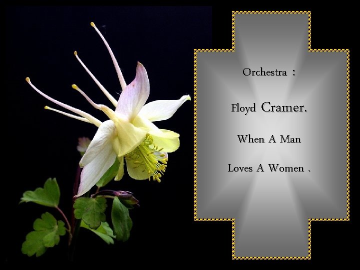 Orchestra : Floyd Cramer. When A Man Loves A Women. 