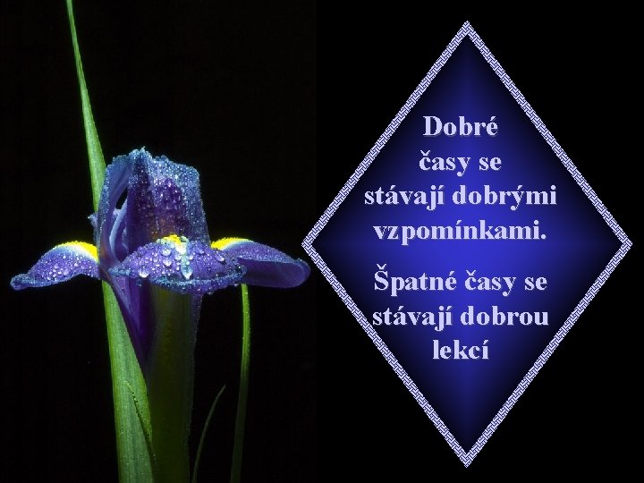 Dobré časy se stávají dobrými vzpomínkami. Špatné časy se stávají dobrou lekcí 