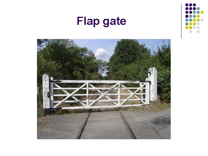 Flap gate 