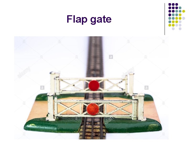 Flap gate 