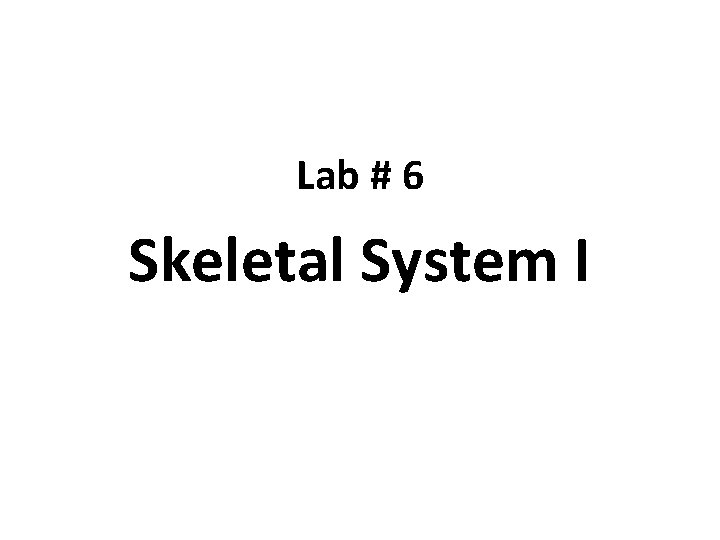 Lab # 6 Skeletal System I 