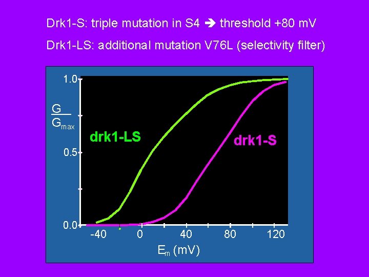 Drk 1 -S: triple mutation in S 4 threshold +80 m. V Drk 1