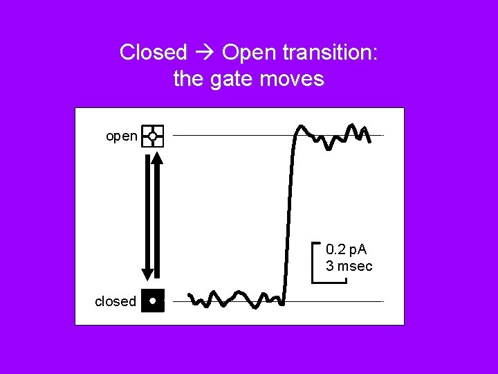 Closed Open transition: the gate moves open 0. 2 p. A 3 msec closed