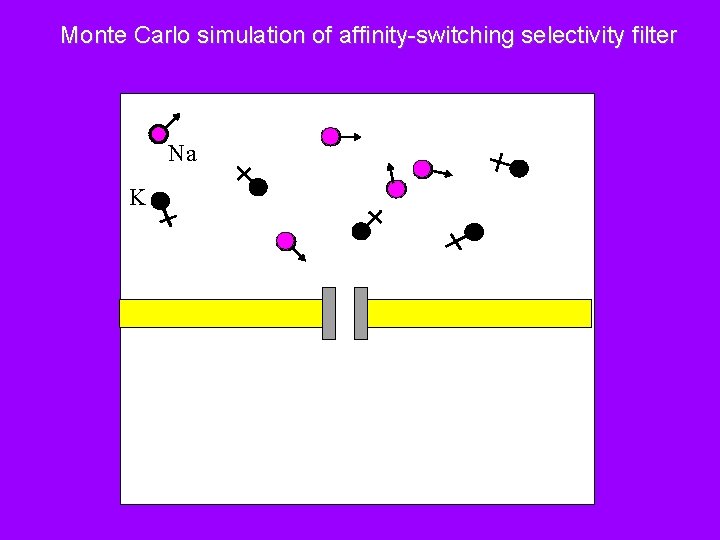 Monte Carlo simulation of affinity-switching selectivity filter Na K 