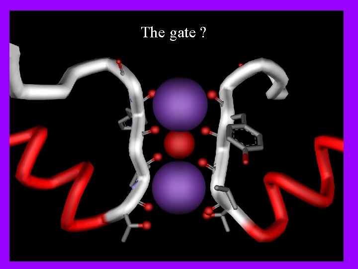 The gate ? 