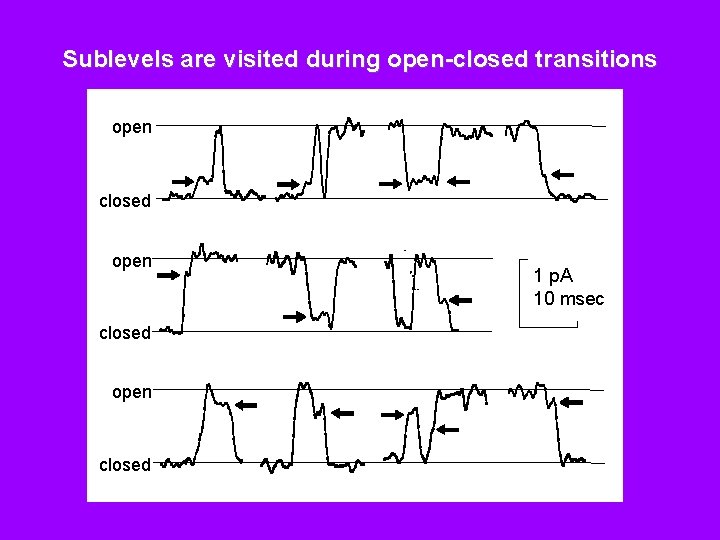 Sublevels are visited during open-closed transitions open closed 1 p. A 10 msec 