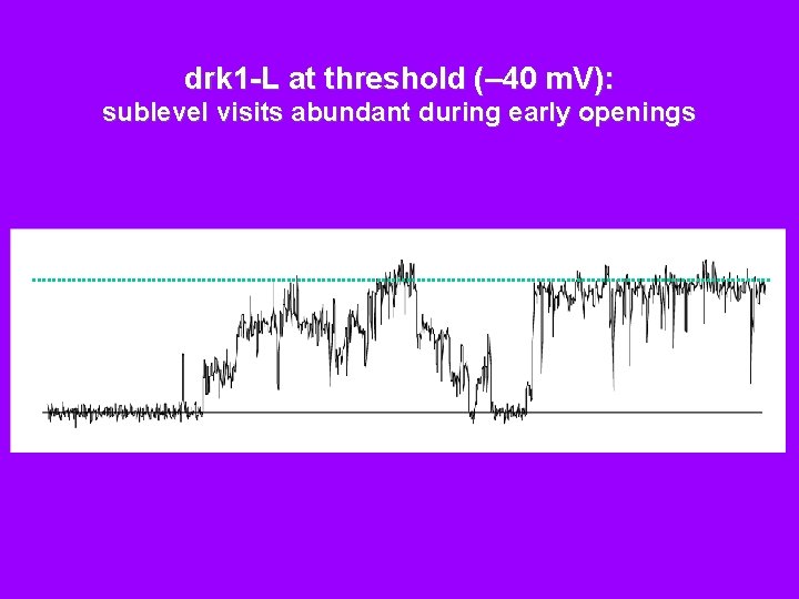 drk 1 -L at threshold (– 40 m. V): sublevel visits abundant during early