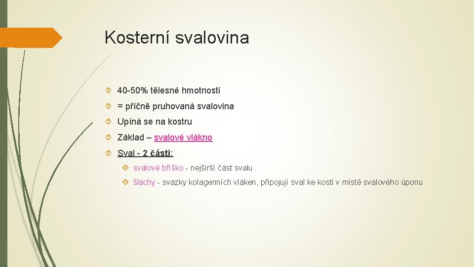 Kosterní svalovina 40 -50% tělesné hmotnosti = příčně pruhovaná svalovina Upíná se na kostru