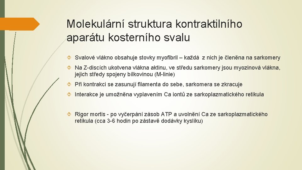 Molekulární struktura kontraktilního aparátu kosterního svalu Svalové vlákno obsahuje stovky myofibril – každá z