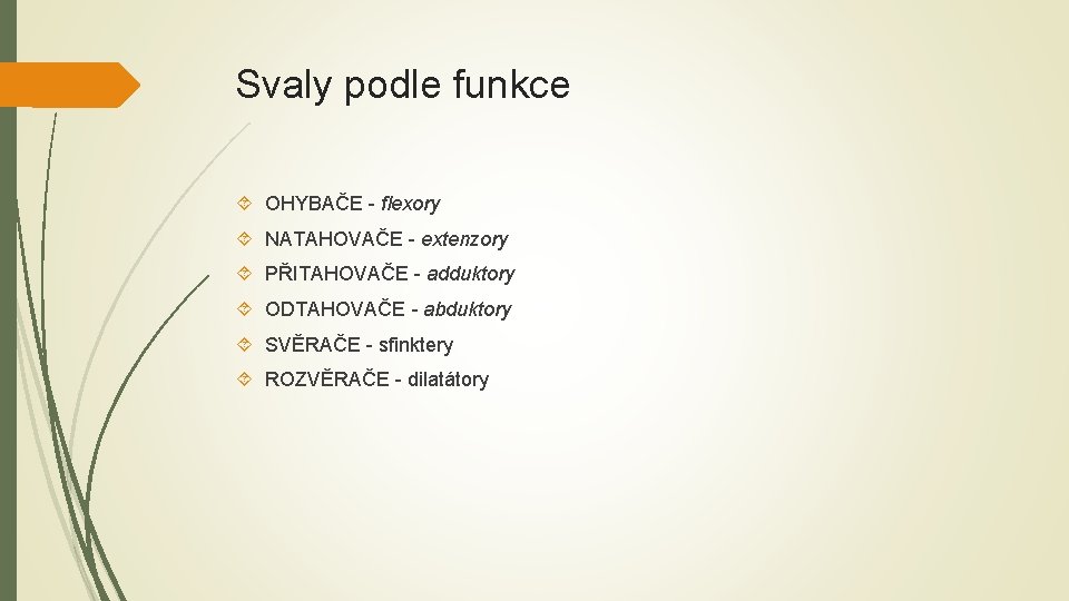 Svaly podle funkce OHYBAČE - flexory NATAHOVAČE - extenzory PŘITAHOVAČE - adduktory ODTAHOVAČE -