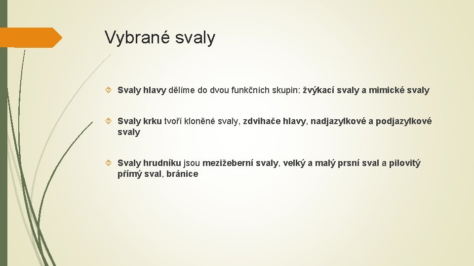 Vybrané svaly Svaly hlavy dělíme do dvou funkčních skupin: žvýkací svaly a mimické svaly