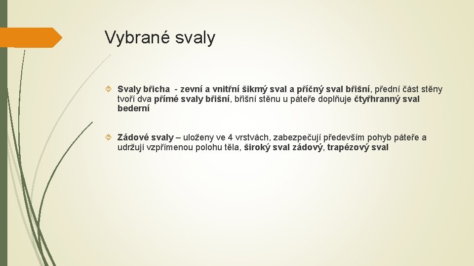 Vybrané svaly Svaly břicha - zevní a vnitřní šikmý sval a příčný sval břišní,