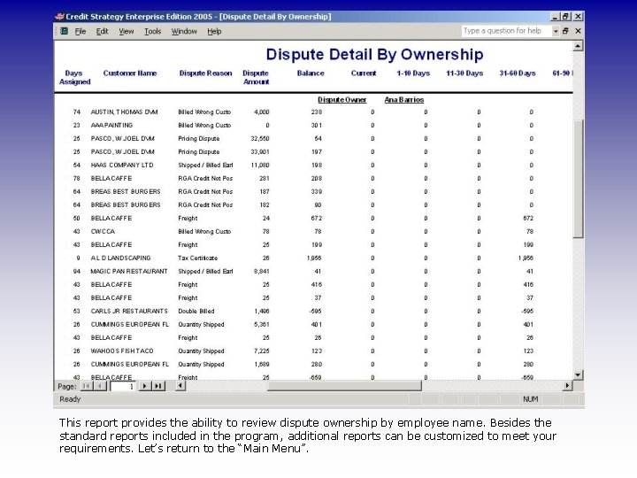 This report provides the ability to review dispute ownership by employee name. Besides the