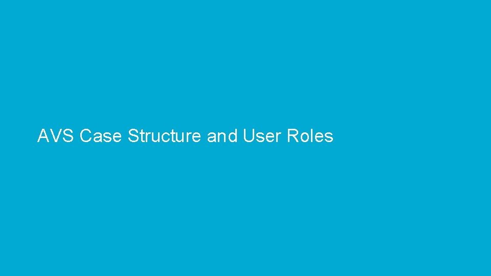 AVS Case Structure and User Roles 