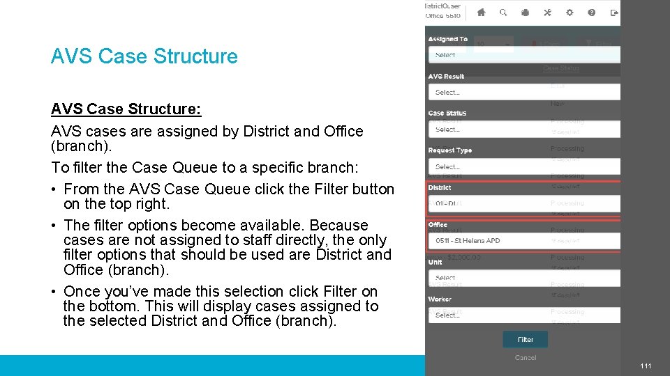 AVS Case Structure: AVS cases are assigned by District and Office (branch). To filter