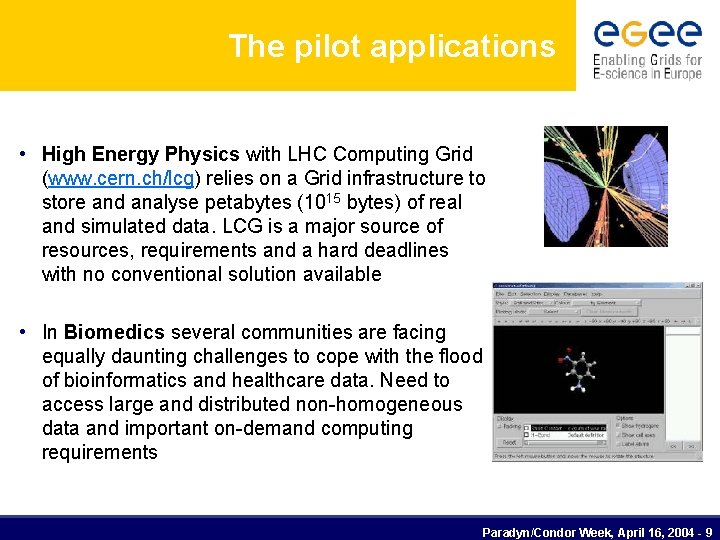 The pilot applications • High Energy Physics with LHC Computing Grid (www. cern. ch/lcg)