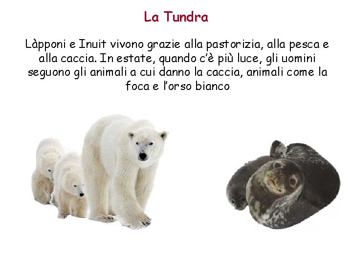 La Tundra Làpponi e Inuit vivono grazie alla pastorizia, alla pesca e alla caccia.