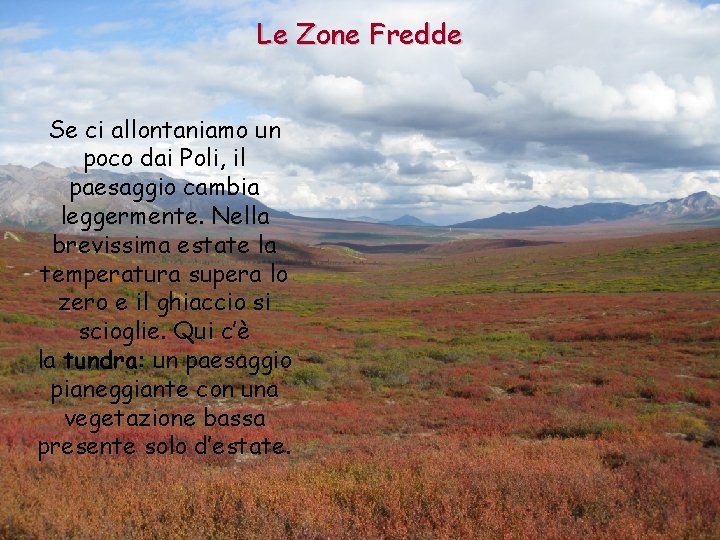 Le Zone Fredde Se ci allontaniamo un poco dai Poli, il paesaggio cambia leggermente.