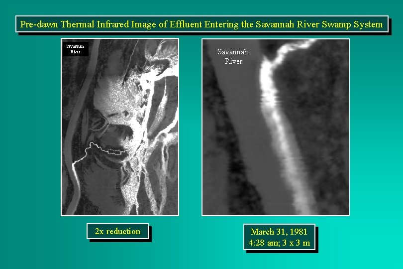 Pre-dawn Thermal Infrared Image of Effluent Entering the Savannah River Swamp System Savannah River