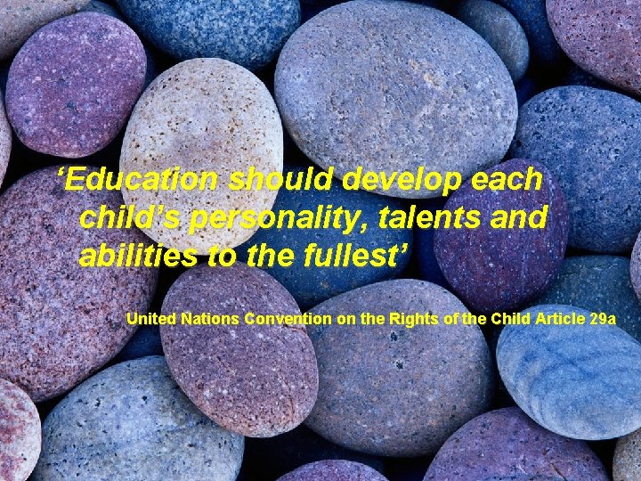 ‘Education should develop each child’s personality, talents and abilities to the fullest’ United Nations