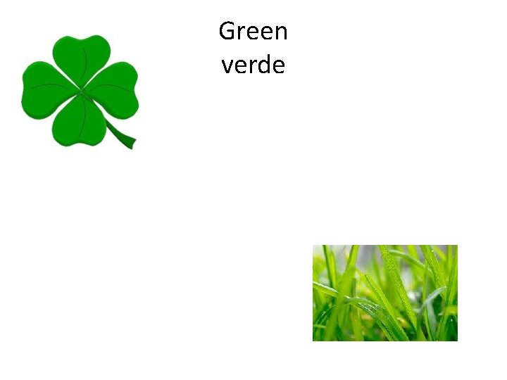 Green verde 