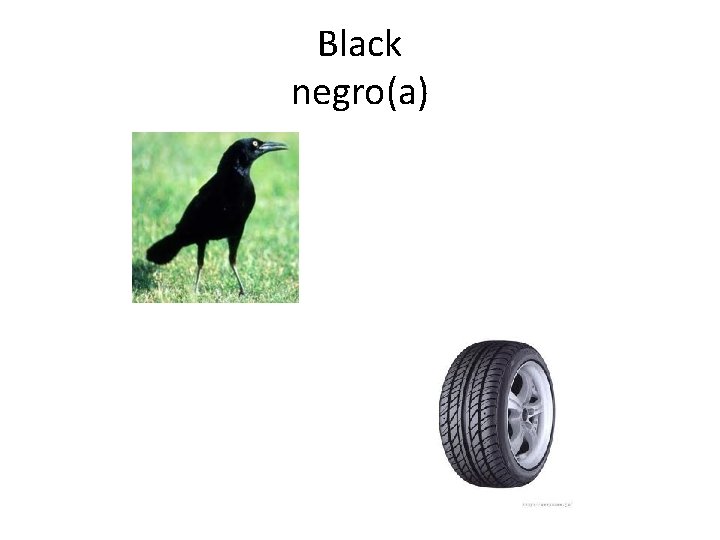 Black negro(a) 