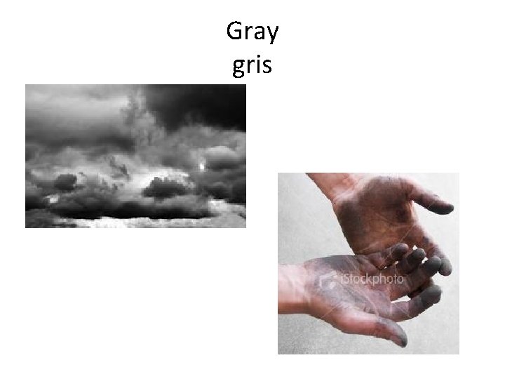 Gray gris 