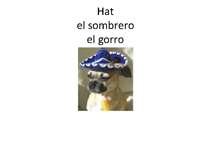 Hat el sombrero el gorro 