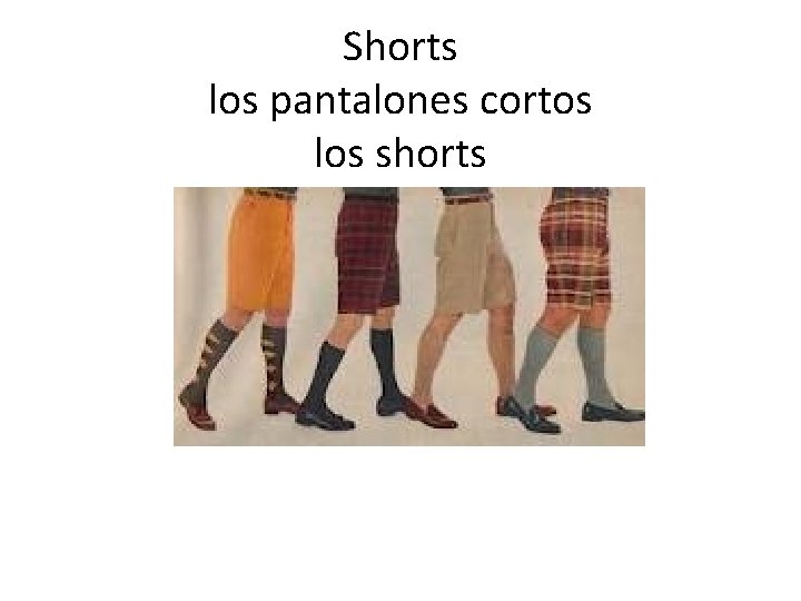 Shorts los pantalones cortos los shorts 