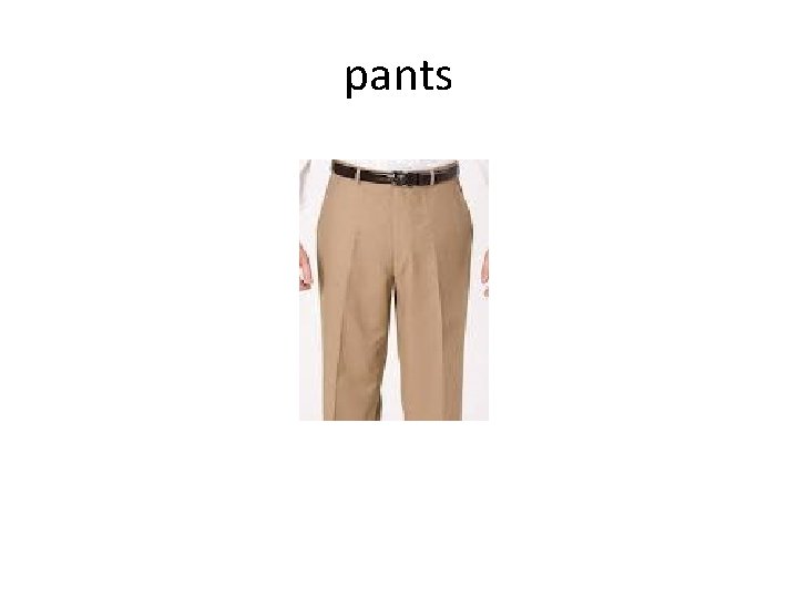 pants 