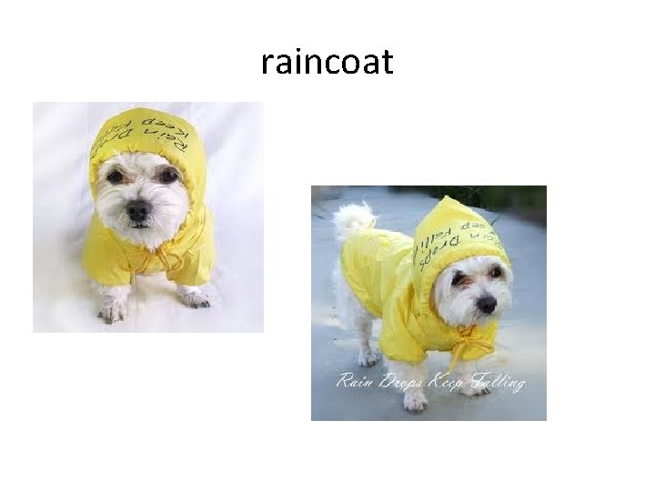 raincoat 
