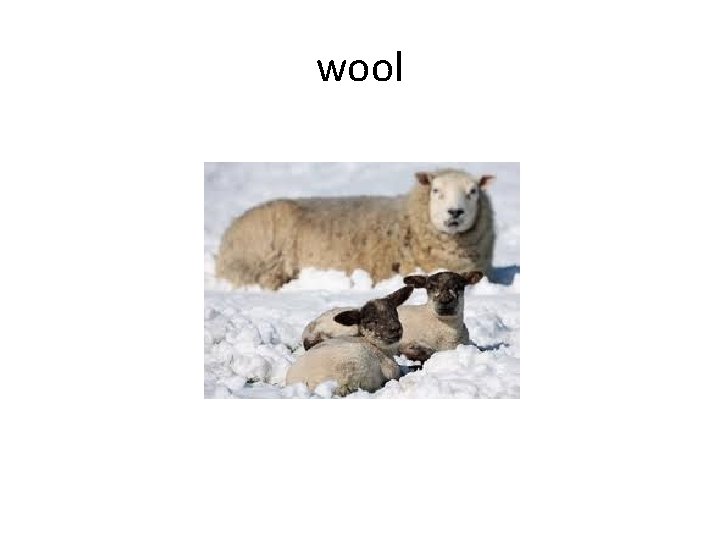 wool 