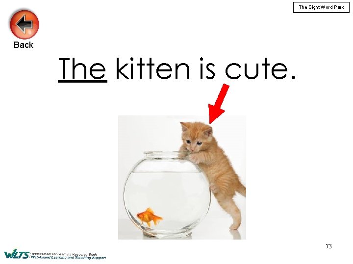 The Sight Word Park Back The kitten is cute. 73 