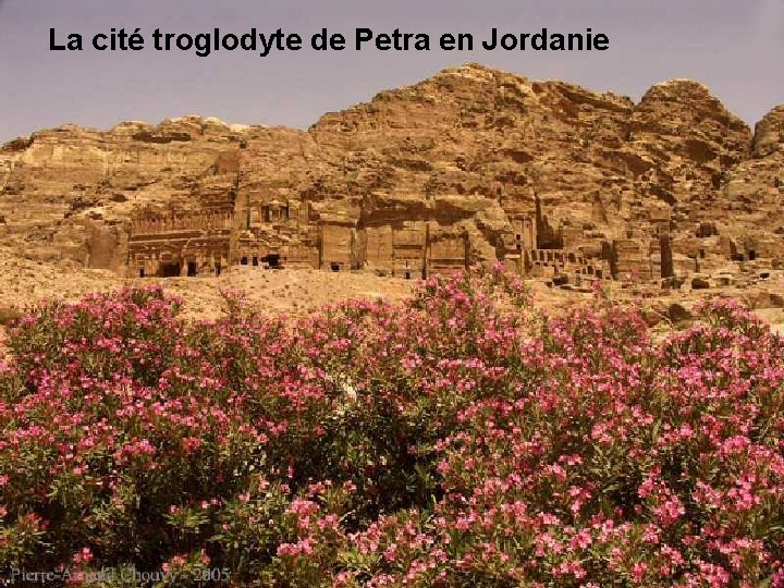 La cité troglodyte de Petra en Jordanie 