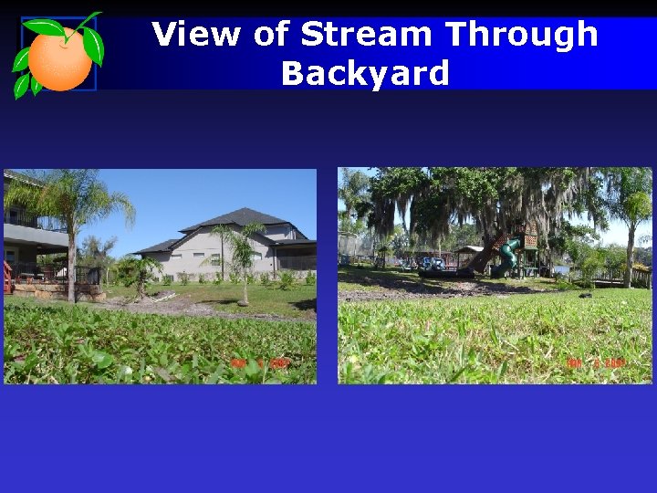 View of Stream Through Backyard 