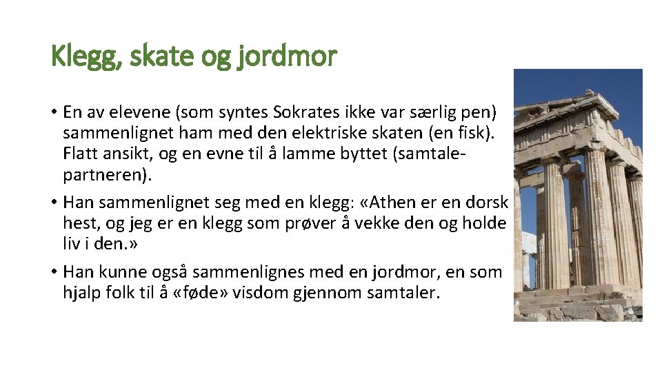 Klegg, skate og jordmor • En av elevene (som syntes Sokrates ikke var særlig