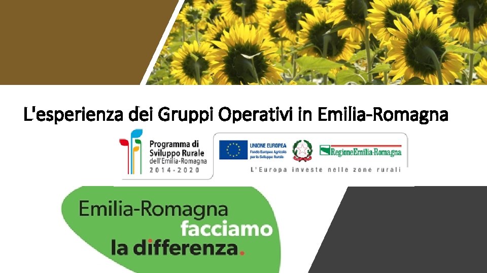 L'esperienza dei Gruppi Operativi in Emilia-Romagna 