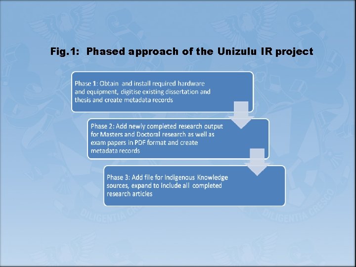 Fig. 1: Phased approach of the Unizulu IR project 