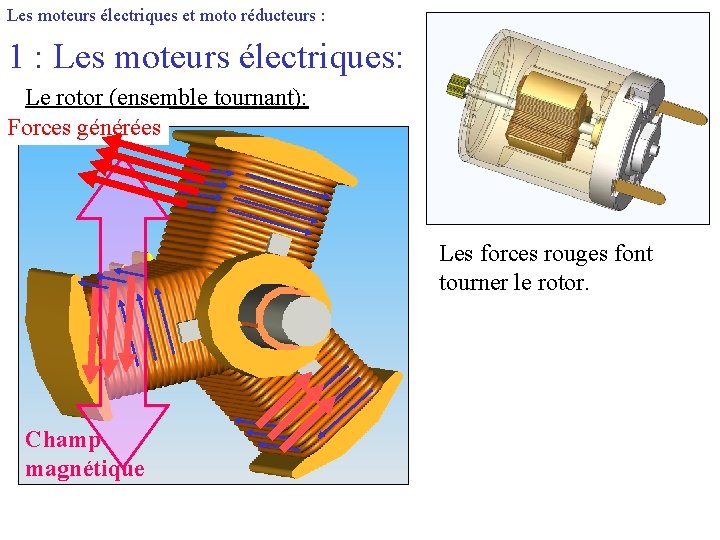 Les moteurs électriques et moto réducteurs : 1 : Les moteurs électriques: Le rotor