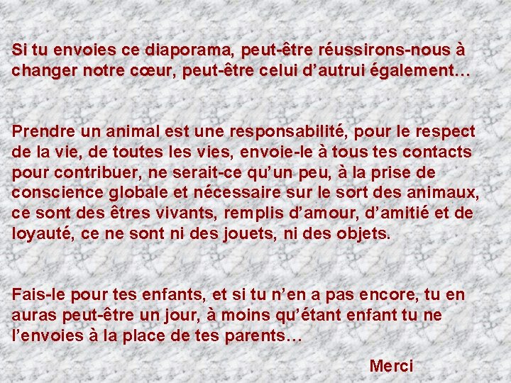 Si tu envoies ce diaporama, peut-être réussirons-nous à changer notre cœur, peut-être celui d’autrui