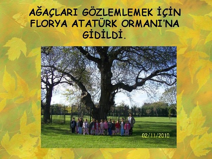 AĞAÇLARI GÖZLEMLEMEK İÇİN FLORYA ATATÜRK ORMANI’NA GİDİLDİ. 