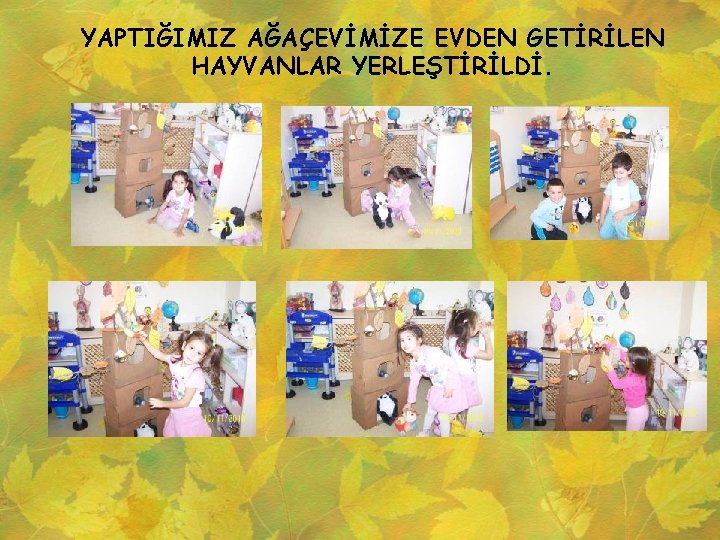 YAPTIĞIMIZ AĞAÇEVİMİZE EVDEN GETİRİLEN HAYVANLAR YERLEŞTİRİLDİ. 