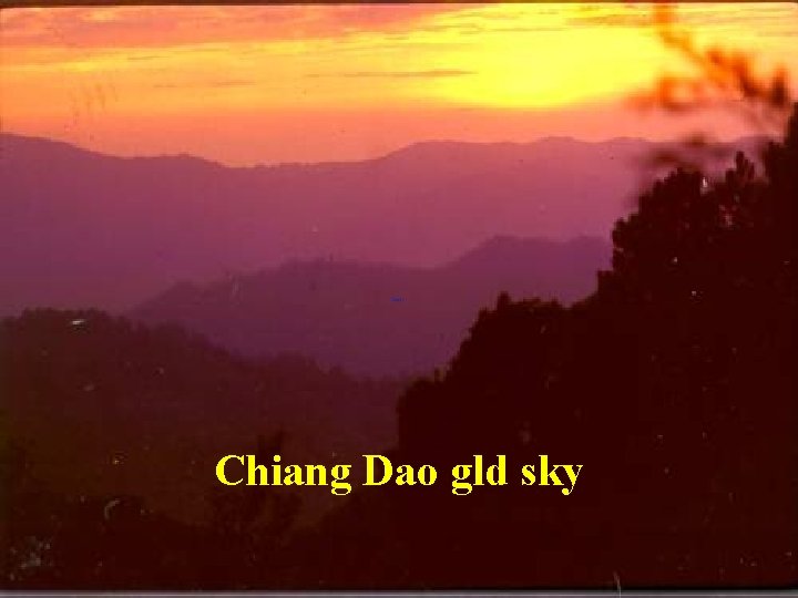 Chiang Dao gld sky 