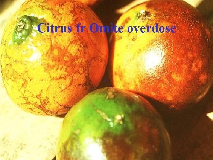 Citrus fr Omite overdose 