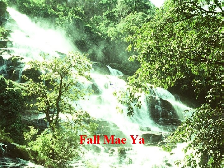 Fall Mae Ya 