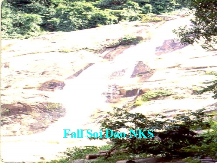 Fall Soi Dao NKS 