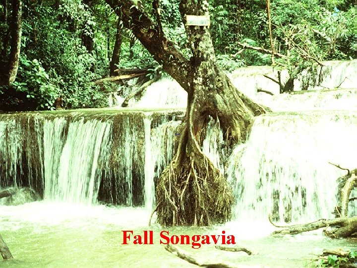 Fall Songavia 