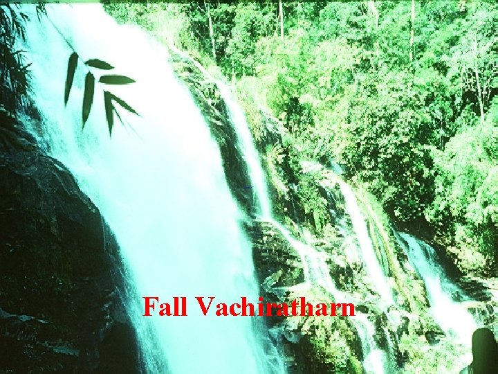Fall Vachiratharn 