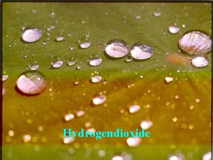 Hydrogendioxide 