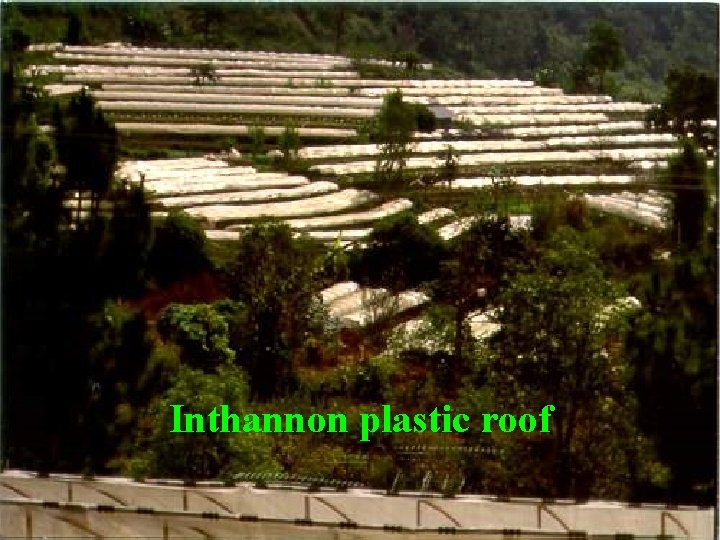 Inthannon plastic roof 